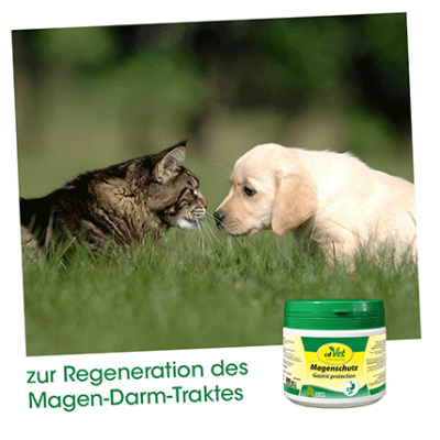 Thumbnail 5: cdVet Magenschutz 200 g