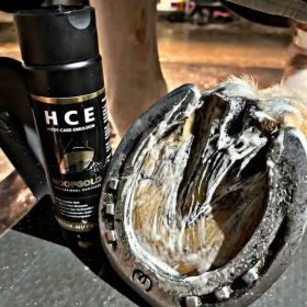 Hoofgold HCE Hufreinigungs-Emulsion für Pferde - Ideal zur täglichen Reinigung & Pflege der Hufe - 250 ml