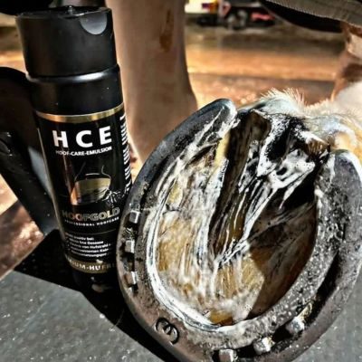 Thumbnail 1: Hoofgold HCE Hufreinigungs-Emulsion für Pferde - Ideal zur täglichen Reinigung & Pflege der Hufe - 250 ml