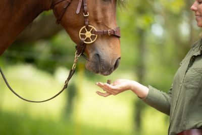 Thumbnail 5: winnies® winnies® Trojaner