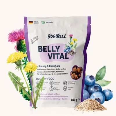 BugBell Trockenfutter mit Insekten für Magen & Darm