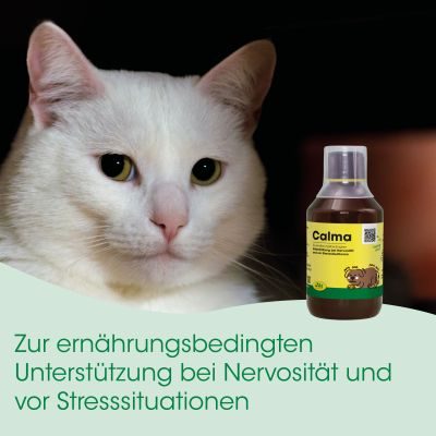 Thumbnail 3: cdVet Calma 100 ml – Natürliche Unterstützung in stressigen Momenten