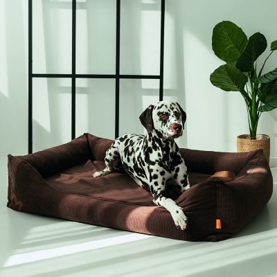 Thumbnail 3: Rudelkönig Rudelkönig Hundebett Koye, Orthopädisches Hundebett mit Druckentlastung