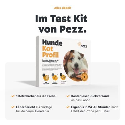 Thumbnail 5: Pezz Kotprofil für Hunde - 3in1 Test für eine umfassende Kotuntersuchung