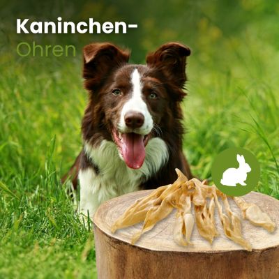 Thumbnail 2: kauartikel.com Kaninchen-Ohren - Hunde-Kauartikel - Hunde-Snack - Hypoallergen-Kausnack - Hasen-Leckerli