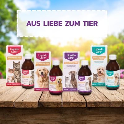 Thumbnail 7: LiquidoCare Appetitanreger für die Katze