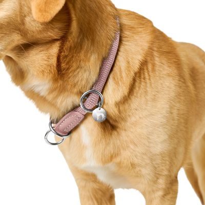 Thumbnail 6: HUNTER Dressurhalsung Malibu M (max. 45 cm), zartrosa