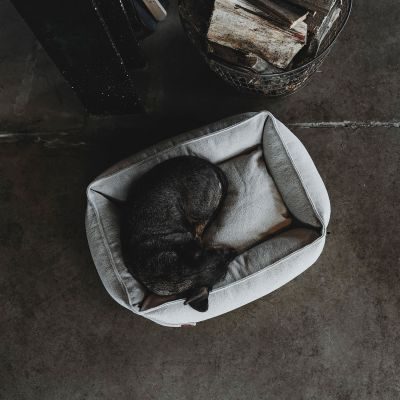 Thumbnail 3: HUNTER Recycling Hundesofa Belluno L (100 x 80 cm), creme