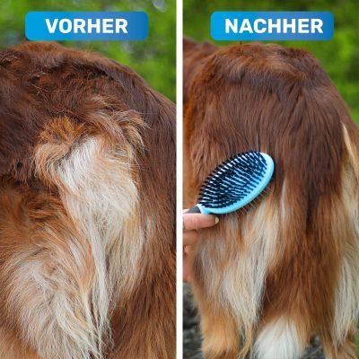 Thumbnail 5: BluePet 'DoppelDecker' Doppelbürste für Hunde und Katzen (doppelseitig nutzbar), beidseitig sanfte Fellpflege - zweiseitige Nutzung, 2in1