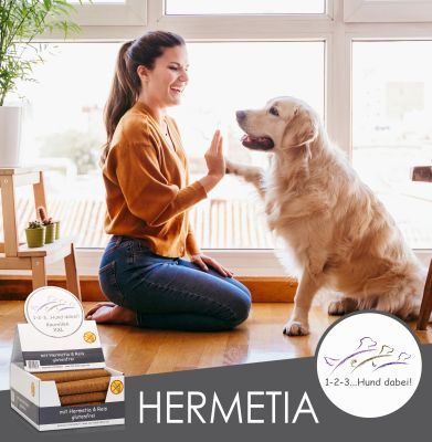 Thumbnail 1: 123… Hund dabei! Kaurollen XXL mit Insekten und Reis, harte Kauartikel für Hunde, getreidefrei, Zahnpflegesnack, XXL Pack