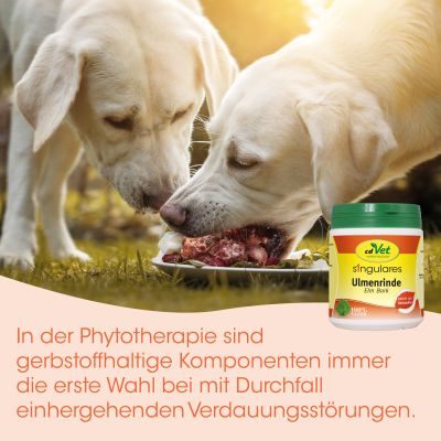 Thumbnail 2: cdVet Singulares Ulmenrinde (europäisch) 200 g – Natürliche Ergänzung für eine ausgewogene Fütterung