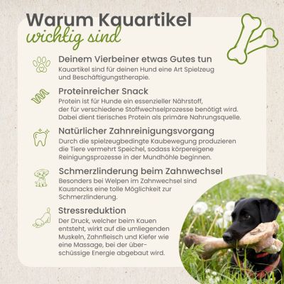 Thumbnail 7: kauartikel.com Fisch-Fleischstreifen - Hunde-Kauartikel - Hunde-Snack - Kausnack - Fisch-Leckerli