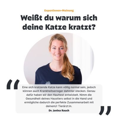 Thumbnail 8: Pezz Katzen Hauttest | Bei gereizten, juckenden oder riechenden Hautstellen