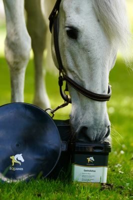 Thumbnail 2: Equanis GastroActive – Magen Pferd