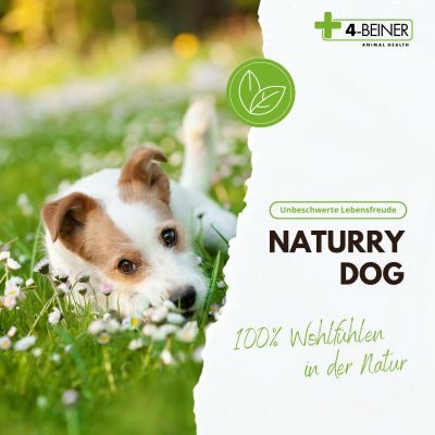 4-Beiner 4-BEINER NATURRY-DOG - Nahrungsergänzung - Futterergänzung für Hunde