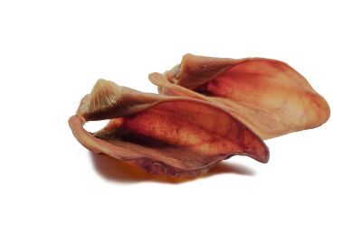 123… Hund dabei! Schweineohren, Kausnack für Hunde, 10 Stück