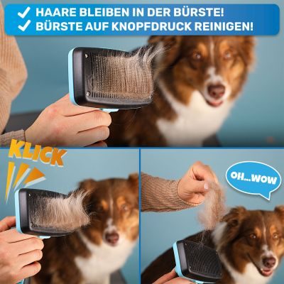 Thumbnail 6: BluePet Selbstreinigende Zupfbürste mit Pins, Hundebürste & Katzenbürste für Langhaar, ZupfZeug 2.0 mit Reinigungsknopf für die tägliche Anwendung