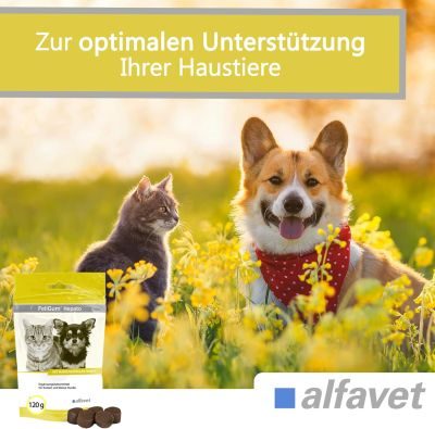 Thumbnail 1: alfavet FeliGum Hepato 120 g