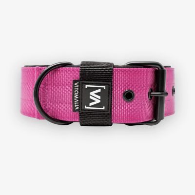 Thumbnail 6: Vitomalia VitomaliaKlassisches Hundehalsband mit abstehender Innenfütterung - Nero Pink