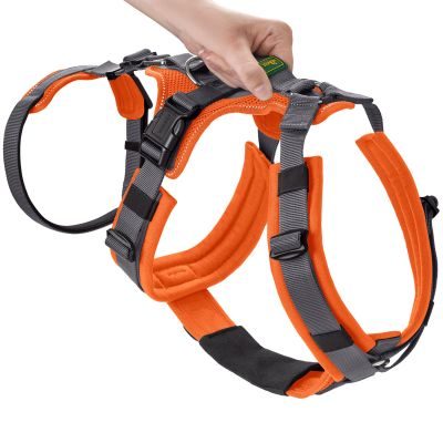 Thumbnail 3: HUNTER Sicherheitsgeschirr Maldon mit Griff M, orange/grau