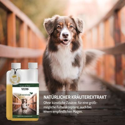 Thumbnail 12: TJURE TJURE - Ulmenrinde Liquid - 1.000 ml | Naturkraft für ein gutes Bauchgefühl