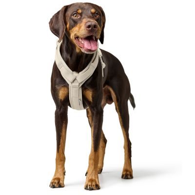 Thumbnail 7: HUNTER Geschirr Maldon Up Limited Edition S-M, greige