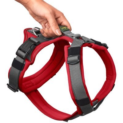 Thumbnail 3: HUNTER Geschirr Maldon Up mit Griff L, rot/grau