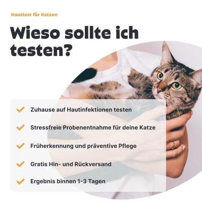 Thumbnail 7: Pezz Katzen Hauttest | Bei gereizten, juckenden oder riechenden Hautstellen