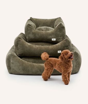 Thumbnail 5: CAFIDE Cord Hundebett, Snozy