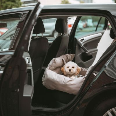 Thumbnail 7: HUNTER 2-in-1 Autositz und Reisebett Seoul 50 x 50 x 30, greige