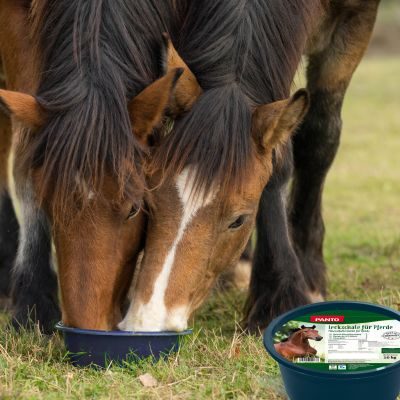 Thumbnail 4: PANTO Mineralleckschale für Pferde 10kg
