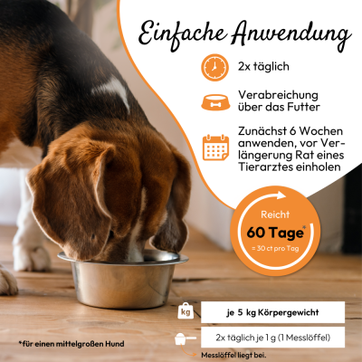 Thumbnail 7: PHA PetVet - PHA NierenActiv PLUS für Hunde und Katzen 60 g - Unterstützung der Nierenfunktion, Nierengesundheit - Futterergänzung