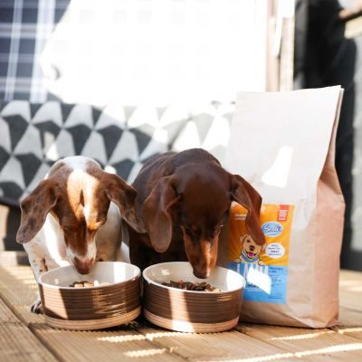 Thumbnail 5: Sollis Hundetrockenfutter mit Lamm, für kleine Hunde, 2 kg