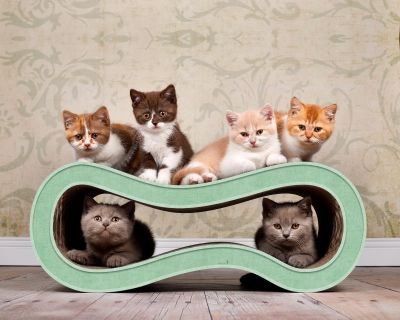 Thumbnail 1: cat-on SINGHA M Design Katzenmöbel, Hemlock mintgrün