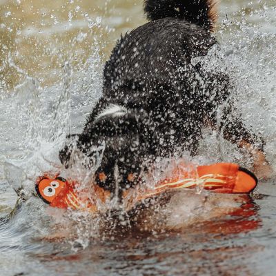 Thumbnail 3: HUNTER Hundespielzeug Aqua Mindelo, orange 52 cm