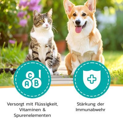 Thumbnail 6: LiquidoCare Tonikum zur Unterstützung des Immunsystems mit Sonnenhut & Taigawurzel für Hunde und Katzen 180 ml