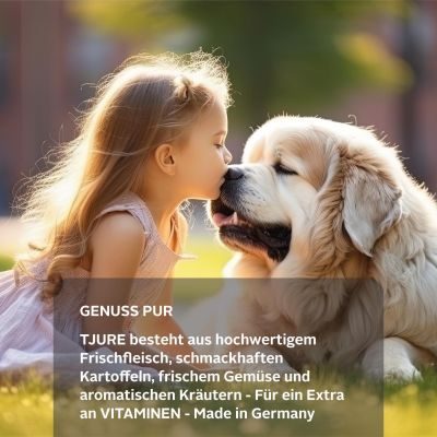 Thumbnail 5: TJURE TJURE Hundesmoothie - Lamm 220 ml Sixpack |Entwickelt für eine sanfte Verdauung