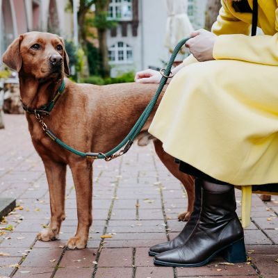 Thumbnail 7: HUNTER Verstellbare Führleine Malia 10/200, dunkelgrün/dunkelbraun
