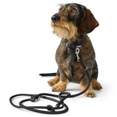 Thumbnail 4: HUNTER Verstellbare Führleine Soho Round Mini 6/200, schwarz