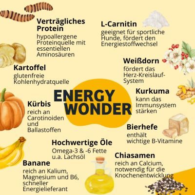 Thumbnail 3: BugBell High Energy Trockenfutter mit Insekten für Sporthunde