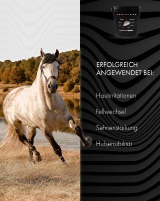 Thumbnail 4: Hoofgold Hufkur Pferd Basic Biotin und Zink, für Haut Fell Huf & Immunsystem, Zusatzfutter für Pferde