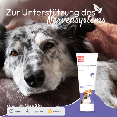 Thumbnail 2: PHA PetVet - PHA BeruhigungsPaste für Hunde - 100 ml - Nahrungsergänzung - Futterergänzung