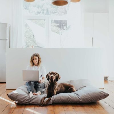 Thumbnail 10: HUNTER Hundebett Lancaster XXXL (175 x 145 cm), grau