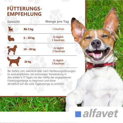 Thumbnail 4: alfavet CaniGum Glanduvet 300 g