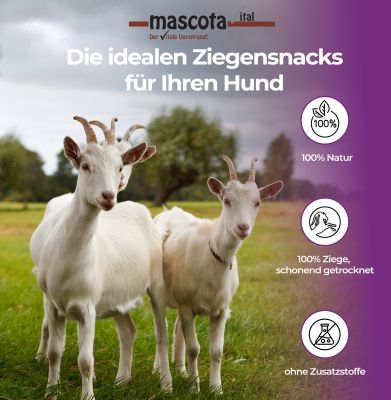Thumbnail 1: mascota vital Ziegenhaut, Kauartikel für Hunde, 200 g