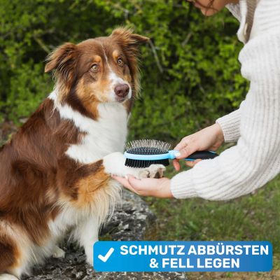 Thumbnail 7: BluePet 'DoppelDecker' Doppelbürste für Hunde und Katzen (doppelseitig nutzbar), beidseitig sanfte Fellpflege - zweiseitige Nutzung, 2in1