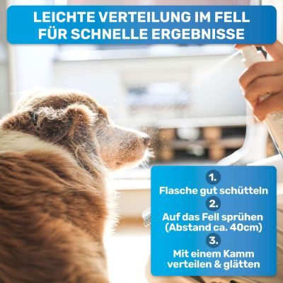 Thumbnail 8: BluePet Großes Filz- und Knotenfrei-Set (Entfilzer Rechshänder, Knotenmesser, UnterwollHarke und Fellspray) - löst Verfilzungen, Knötchen und Unterwolle aus dem Fell (Langhaar)