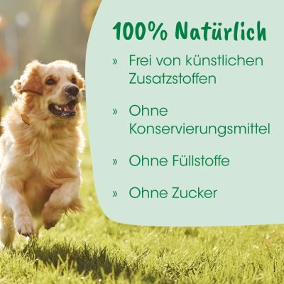 Thumbnail 4: cdVet DogFit 500 ml – Natürliche Vitalstoffmischung für Leber, Nieren & Pigmentierung