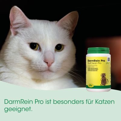Thumbnail 2: cdVet DarmRein Pro 40 g – Natürliche Darmreinigung für Hunde, Katzen & Heimtiere