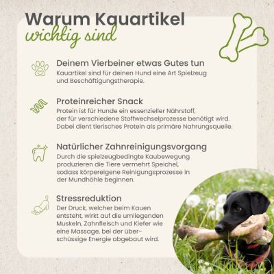 Thumbnail 5: kauartikel.com Gänse-Hälse - Hunde-Kauartikel - Hunde-Snack - Kausnack von der Gans - Leckerli